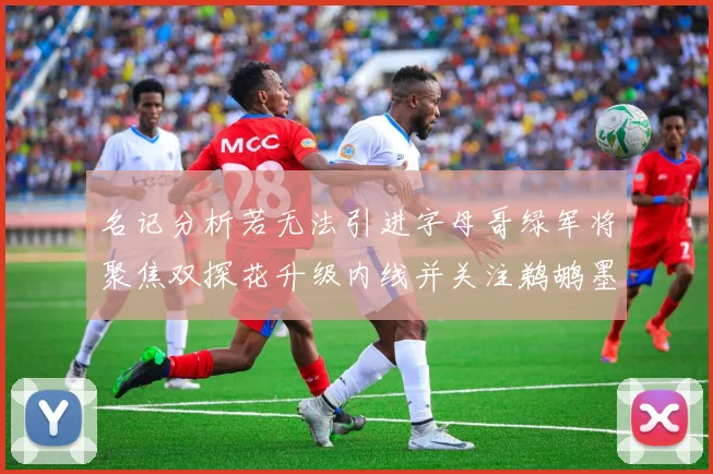 名记分析若无法引进字母哥绿军将聚焦双探花升级内线并关注鹈鹕墨菲
