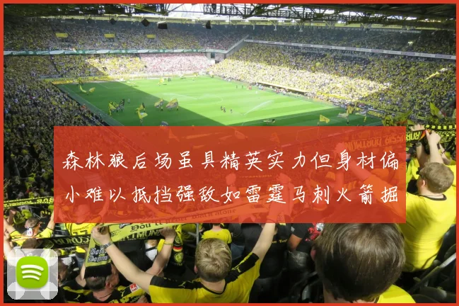森林狼后场虽具精英实力但身材偏小难以抵挡强敌如雷霆马刺火箭掘金